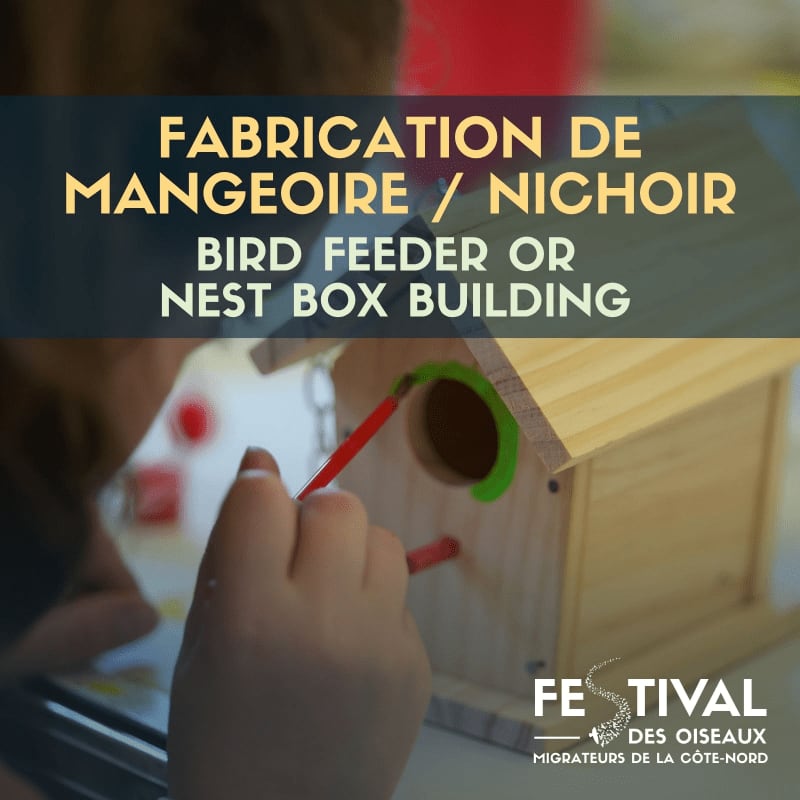A child's hand paints a birdhouse in the foreground, with text about bird feeder or nest box building and a festival logo in the background.