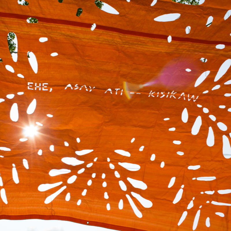 A bright orange fabric with cut-out floral patterns and text is illuminated by the sun, with a hint of green foliage visible in the bright background.