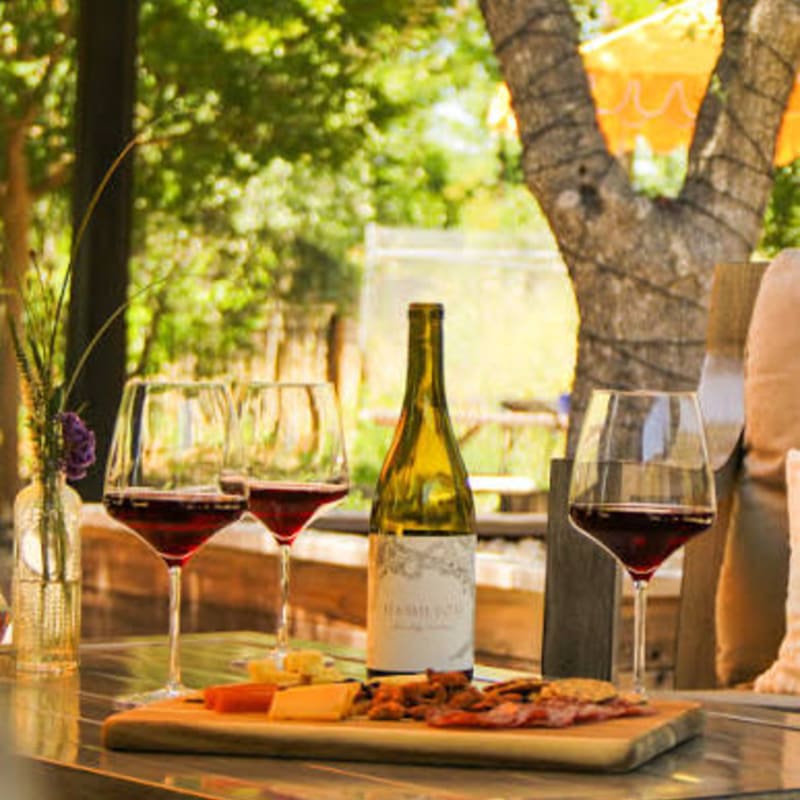 A bottle of wine and three glasses of red wine sit on a table with a cheese and charcuterie board in the foreground, while a sun-dappled outdoor setting with trees and a yellow umbrella forms the background.