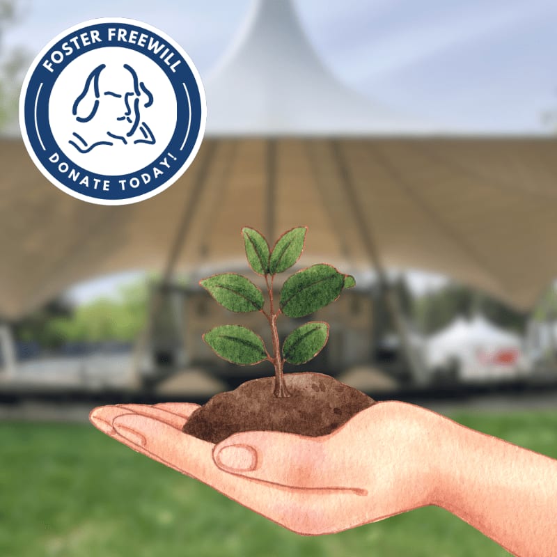 A hand cradles a small plant in soil in the foreground, with a large tent and a circular logo in the background.