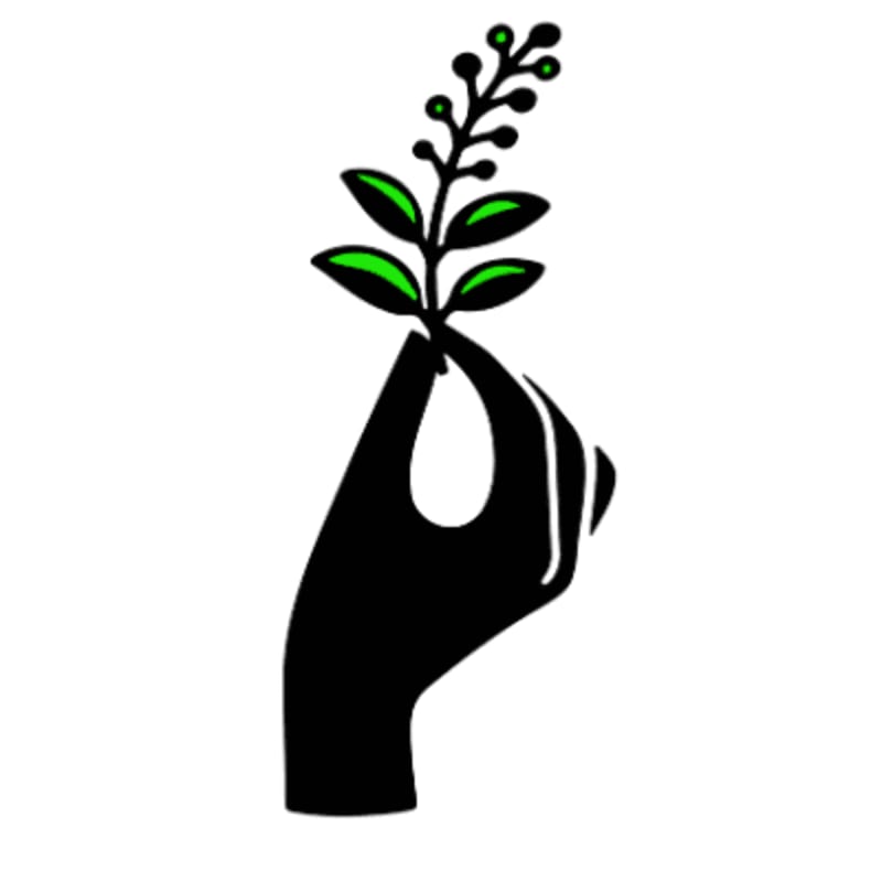 A black silhouette of a hand gently holds a green sprig with leaves and berries against a white background.