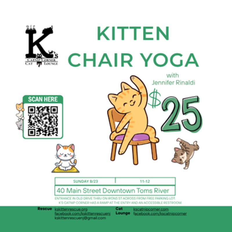 A cute orange cat is doing yoga on a chair in the foreground, with event details and a QR code in the background.