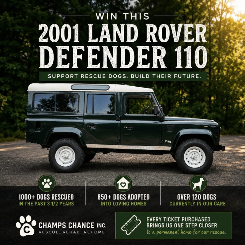 A dark green 2001 Land Rover Defender 110 is parked on a dirt road with trees in the background, while the foreground displays statistics about rescued dogs and the Champs Chance Inc. logo.