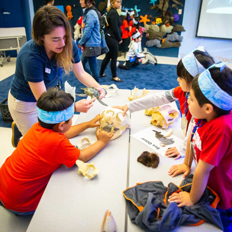 A woman in a blue shirt and khaki pants guides children in red shirts and blue headbands as they examine animal skulls on a table, with other children and adults in the background of a brightly lit room.