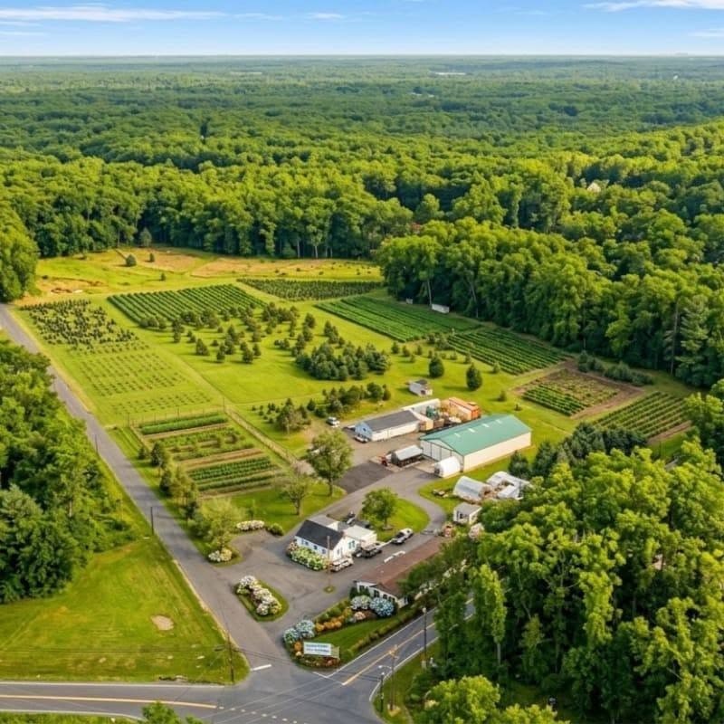A rural nursery with rows of young trees and plants in the foreground is surrounded by a dense, green forest under a clear blue sky.