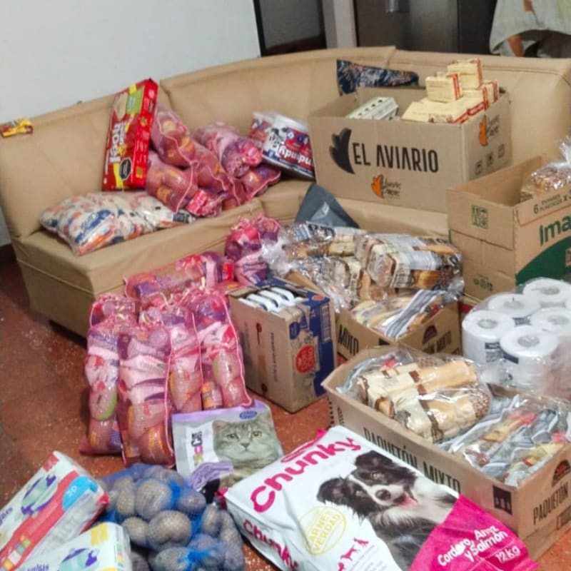 Bags of potatoes and pet food are in the foreground, with a couch and boxes of supplies in the background.