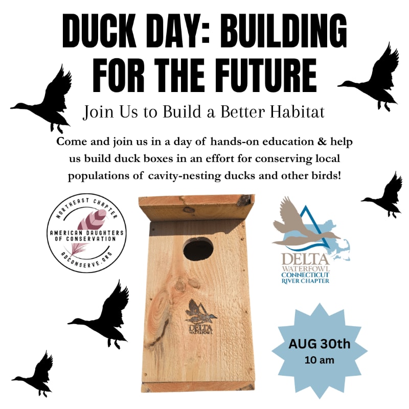 A wooden duck box is in the foreground, with silhouetted ducks flying around text announcing "Duck Day: Building for the Future" in the background.
