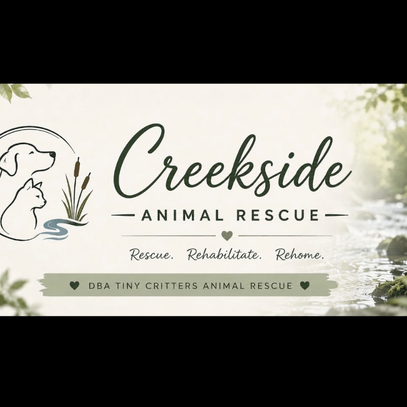 A logo for "Creekside Animal Rescue" with a stylized dog and cat in the foreground is superimposed over a blurred background of a flowing creek and greenery.