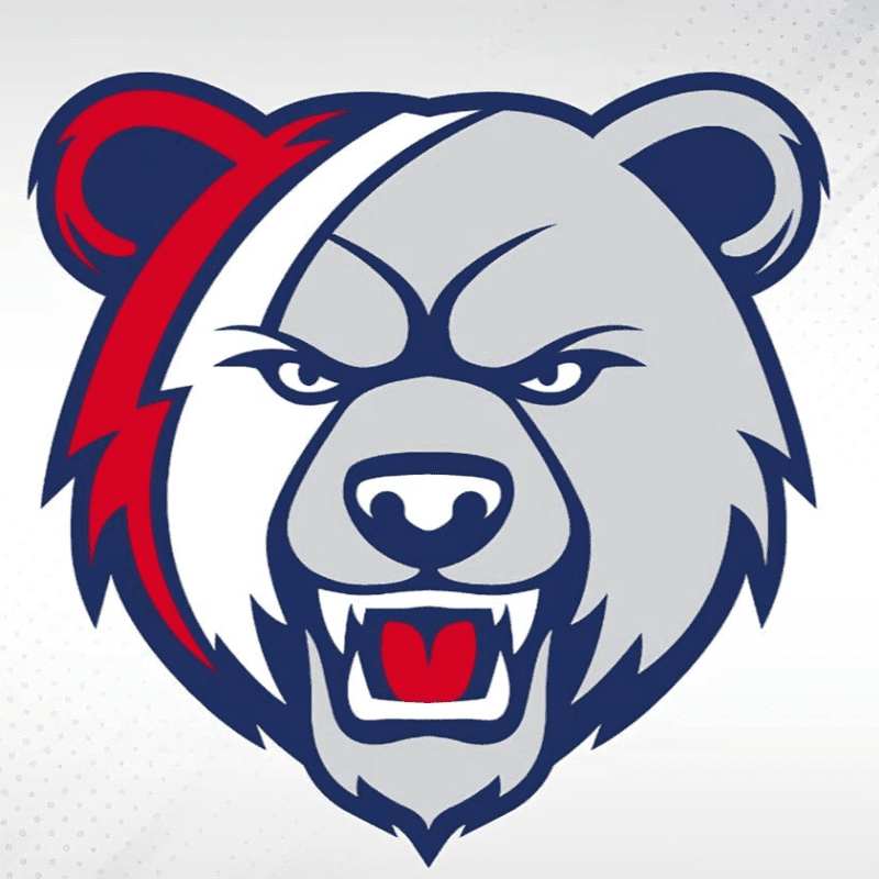 A fierce gray bear with a red lightning bolt across its face and a white background.