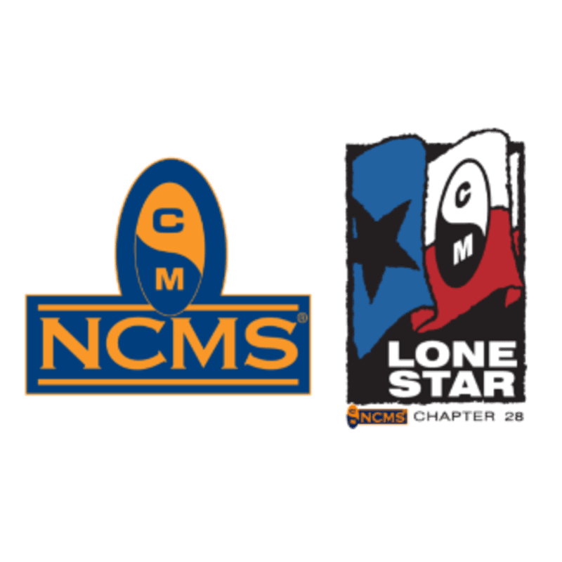 Two logos are displayed against a white background, with the left logo featuring a blue and orange oval above the text "NCMS" and the right logo incorporating the Texas flag with "LONE STAR CHAPTER 28" below it.