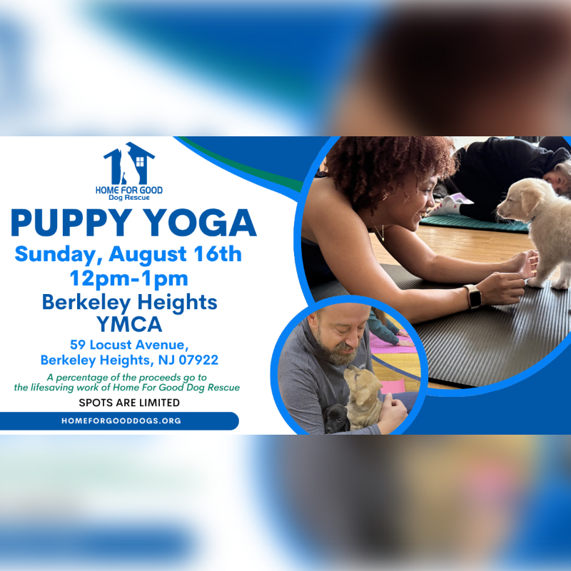 A flyer advertises "Puppy Yoga" with a woman and a puppy in the foreground, while the background shows a man holding a puppy.