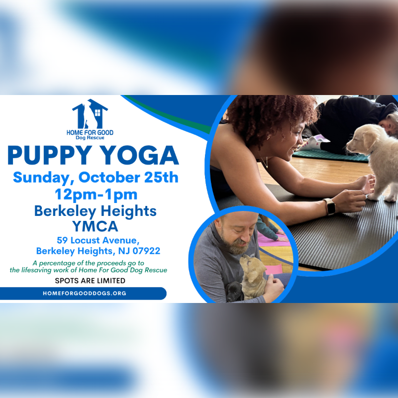 A flyer advertises "Puppy Yoga" on Sunday, October 25th, from 12-1pm at the Berkeley Heights YMCA, featuring images of people and puppies in yoga poses.