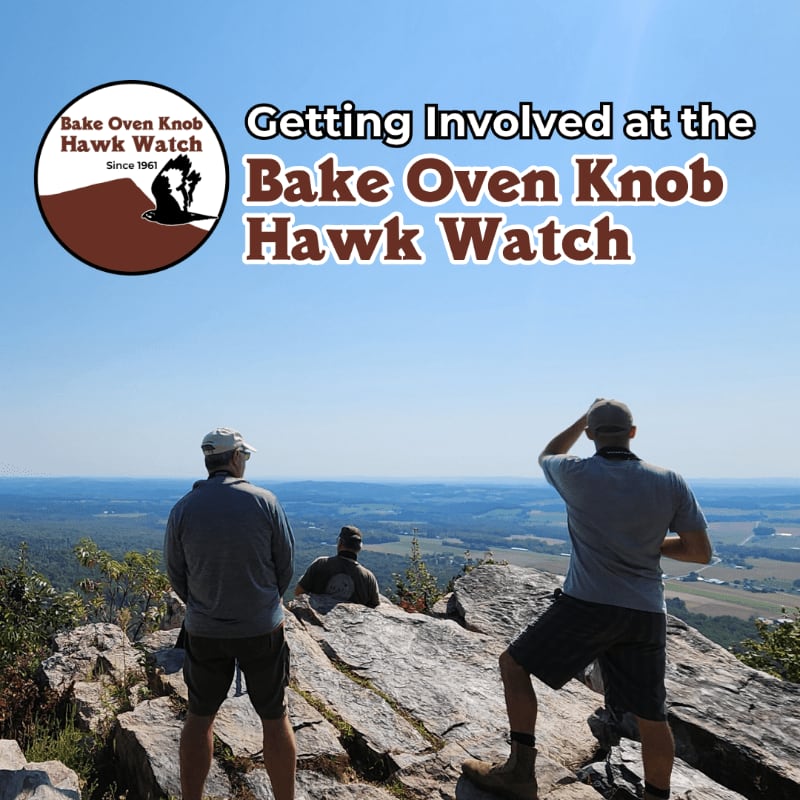 Three people stand on a rocky outcrop in the foreground, looking out at a vast landscape under a clear blue sky, with a circular logo for "Bake Oven Knob Hawk Watch" in the upper left corner.