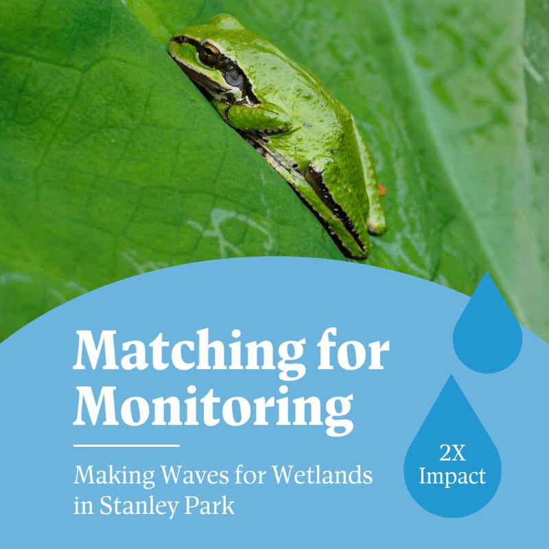 A bright green frog rests on a large green leaf in the foreground, while the background features a blue graphic with text and water droplet icons.