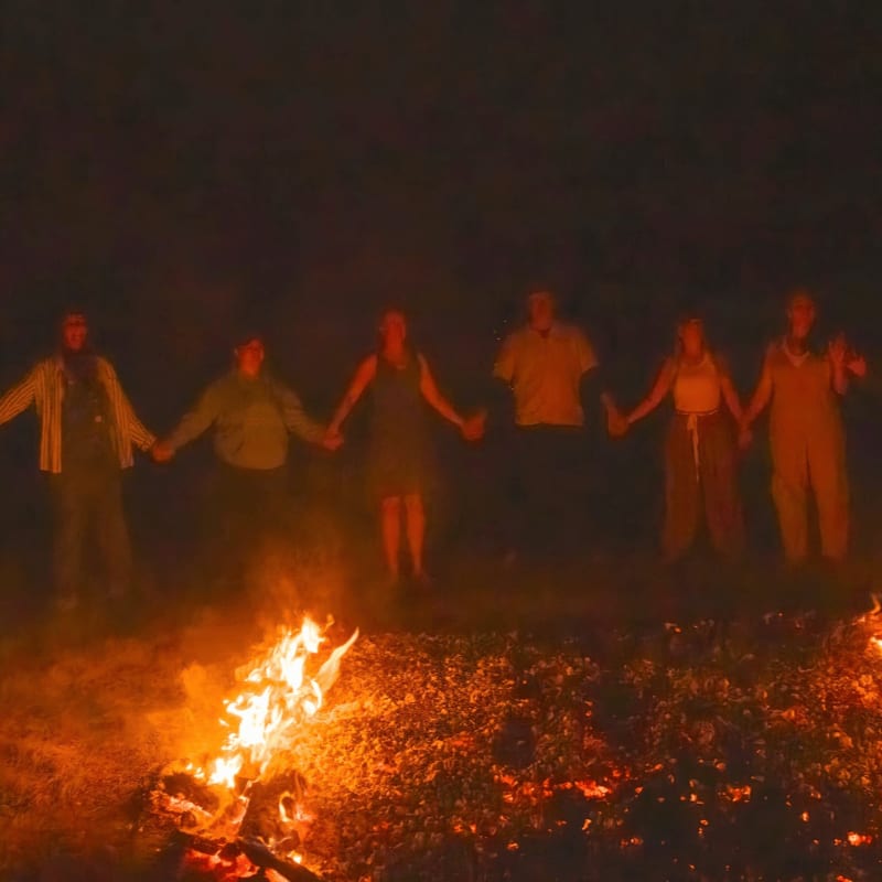Six people hold hands in a circle around a bonfire at night.