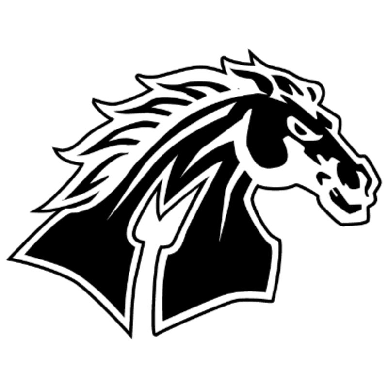 A black and white graphic of a horse's head with a flowing mane is set against a plain white background.