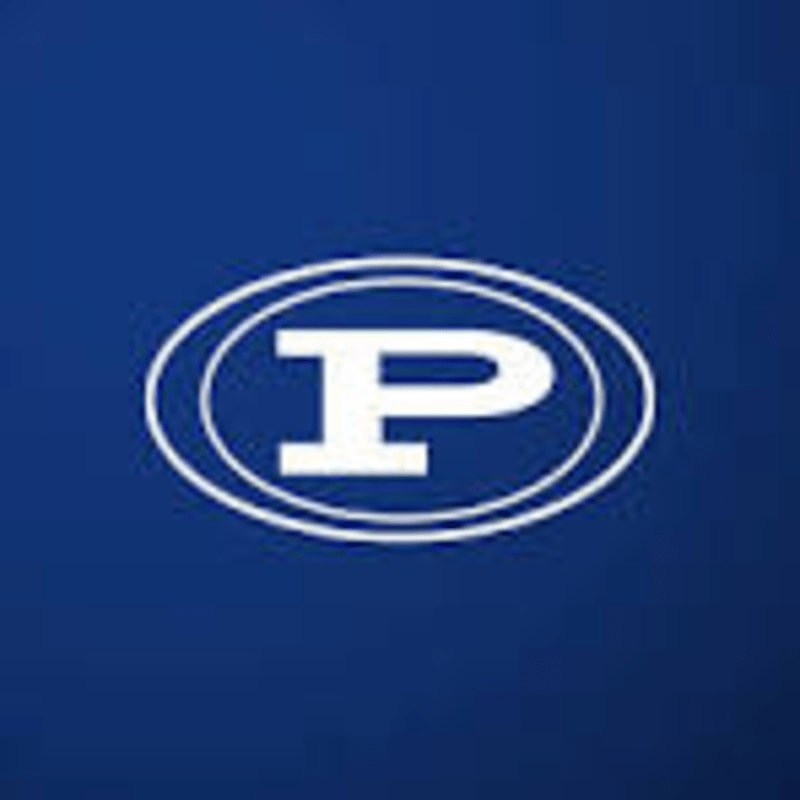 A white letter "P" is centered within a white oval on a solid blue background.
