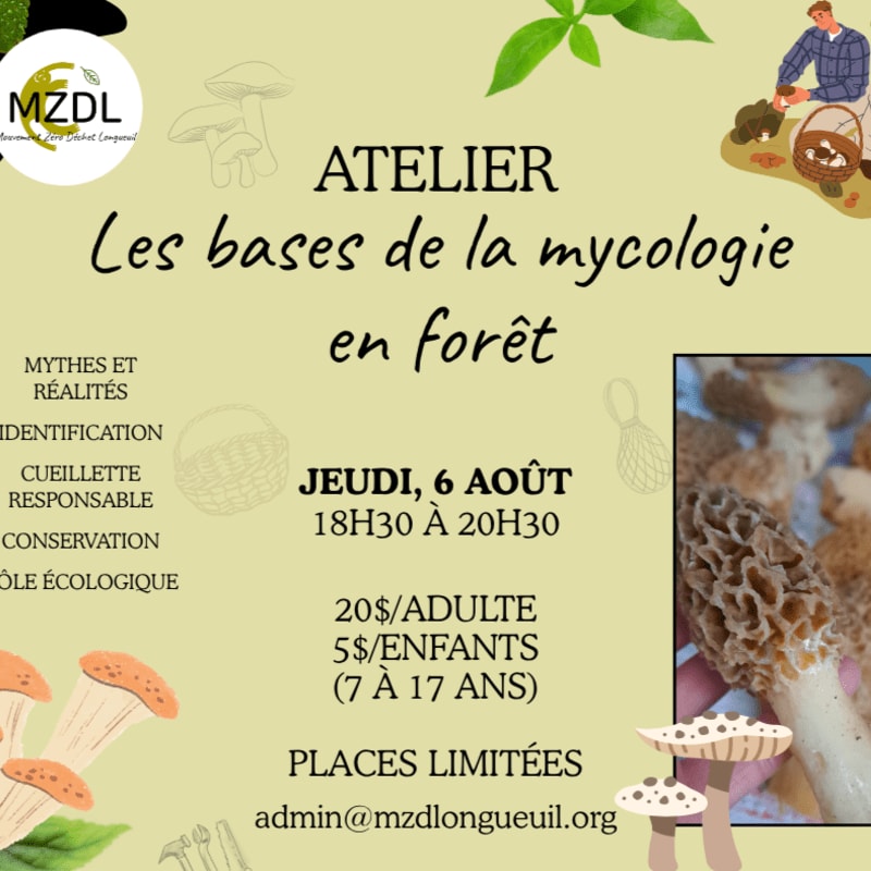 A flyer for a mushroom workshop in the forest features illustrations of mushrooms and people foraging in the foreground, with text detailing the event's date, time, cost, and contact information in the background.