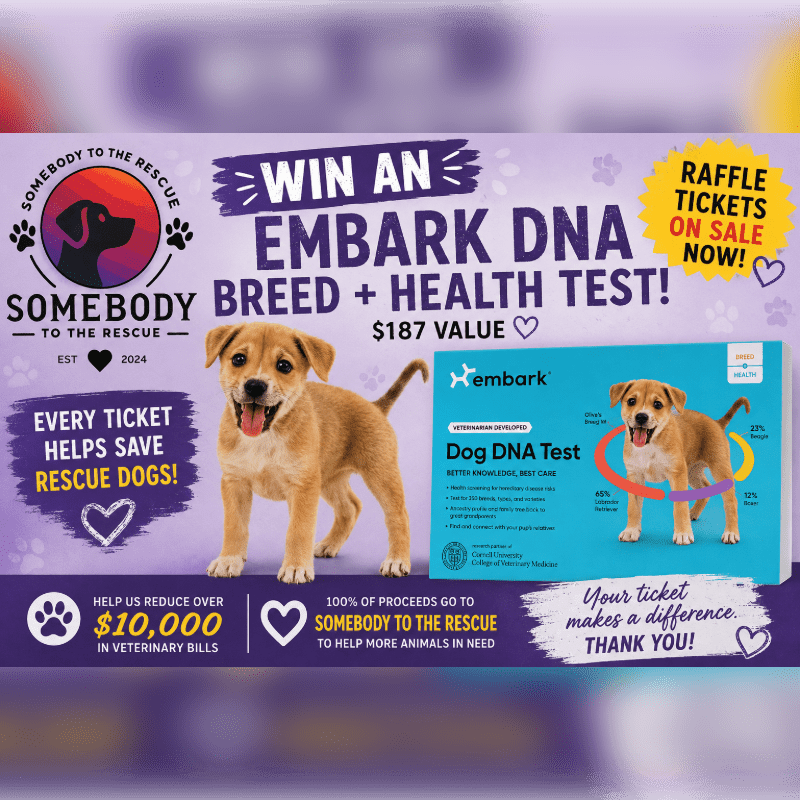 A tan puppy stands in the foreground with a raffle ticket and Embark DNA test box to its right, against a purple background promoting a dog DNA test giveaway for a rescue organization.