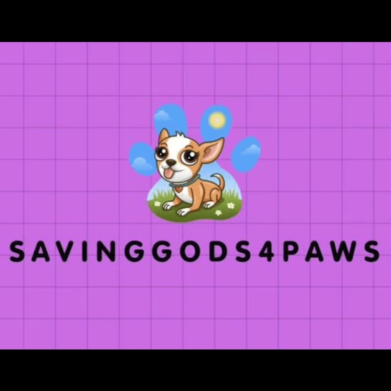 A cartoon chihuahua sits on grass in front of a paw print with clouds and a sun, all set against a purple grid background with the text "SAVINGGODS4PAWS" below.