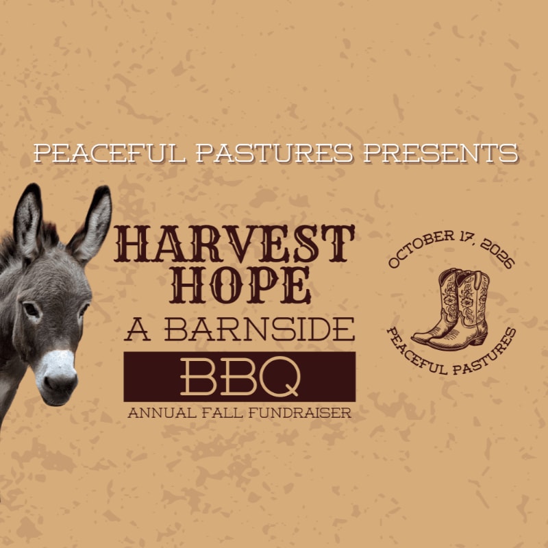 A donkey's head is in the foreground, with text announcing a "Harvest Hope Barnside BBQ" and a cowboy boot graphic in the background.
