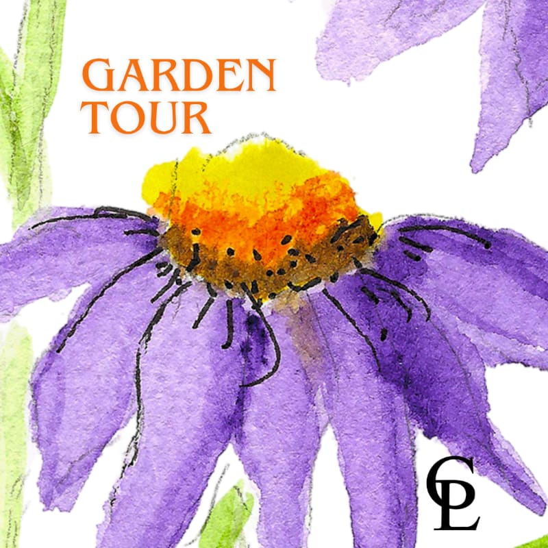 A vibrant watercolor painting of a purple coneflower with a yellow center fills the foreground, while the words "GARDEN TOUR" are displayed in orange text against a white background in the upper left corner.