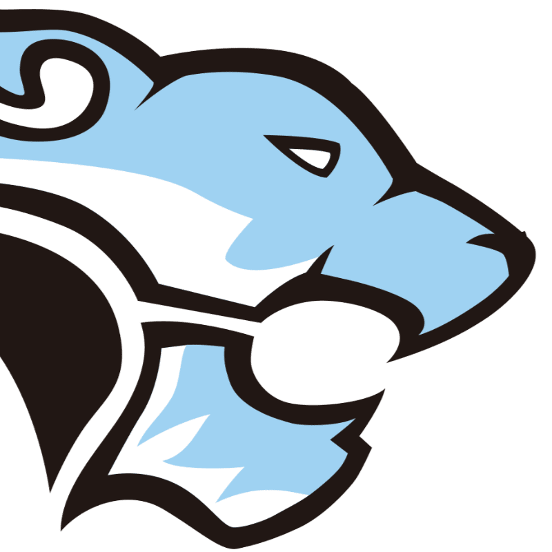 A stylized light blue feline head with black accents is shown in profile against a plain white background.