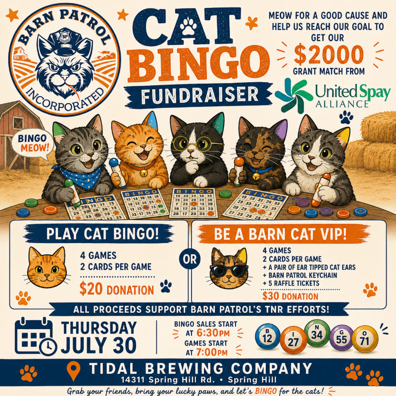 Five cartoon cats sit behind bingo cards in the foreground, with a barn and hay bales in the background of this "Cat Bingo Fundraiser" poster.