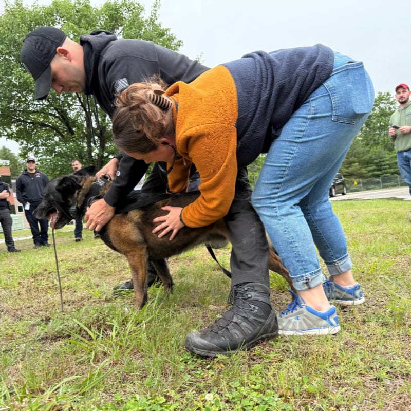 A man and woman pet a German Shepherd in the foreground, while other people and a building are visible in the background.