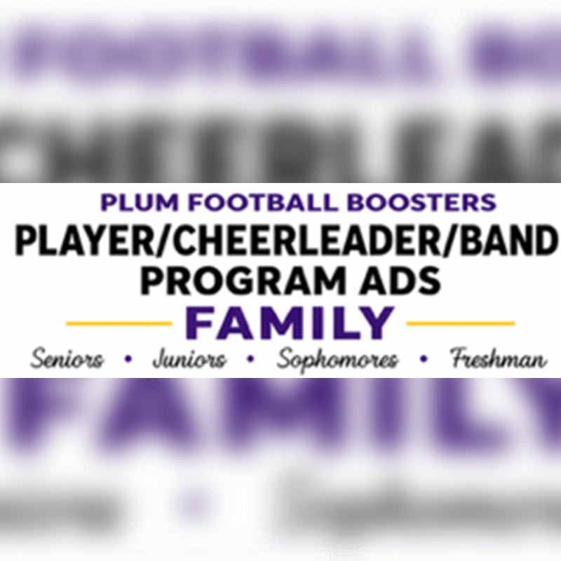 Purple text advertising "Plum Football Boosters Player/Cheerleader/Band Program Ads Family" for different school years is overlaid on a blurred background of the word "FAMILY" in large purple letters.