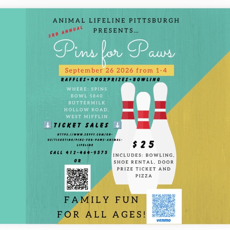 A flyer for the "Pins for Paws" event features bowling pins in the foreground against a teal and yellow background with event details.