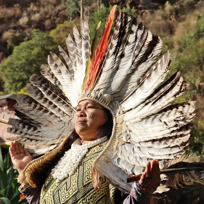A person in a large feathered headdress and traditional clothing raises their hands in front of a blurred background of trees and a building.