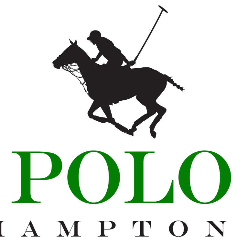 A black silhouette of a polo player on a horse is positioned above the green text "POLO" and the black text "HAMPTON".