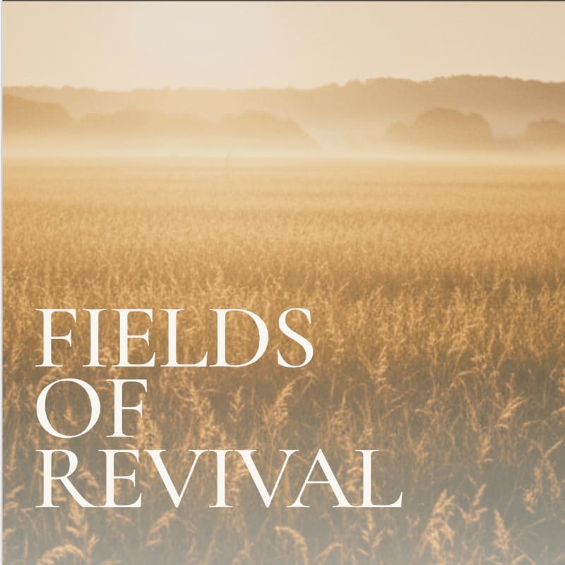 Golden fields of grain stretch towards a hazy, sunlit horizon with rolling hills in the distance.