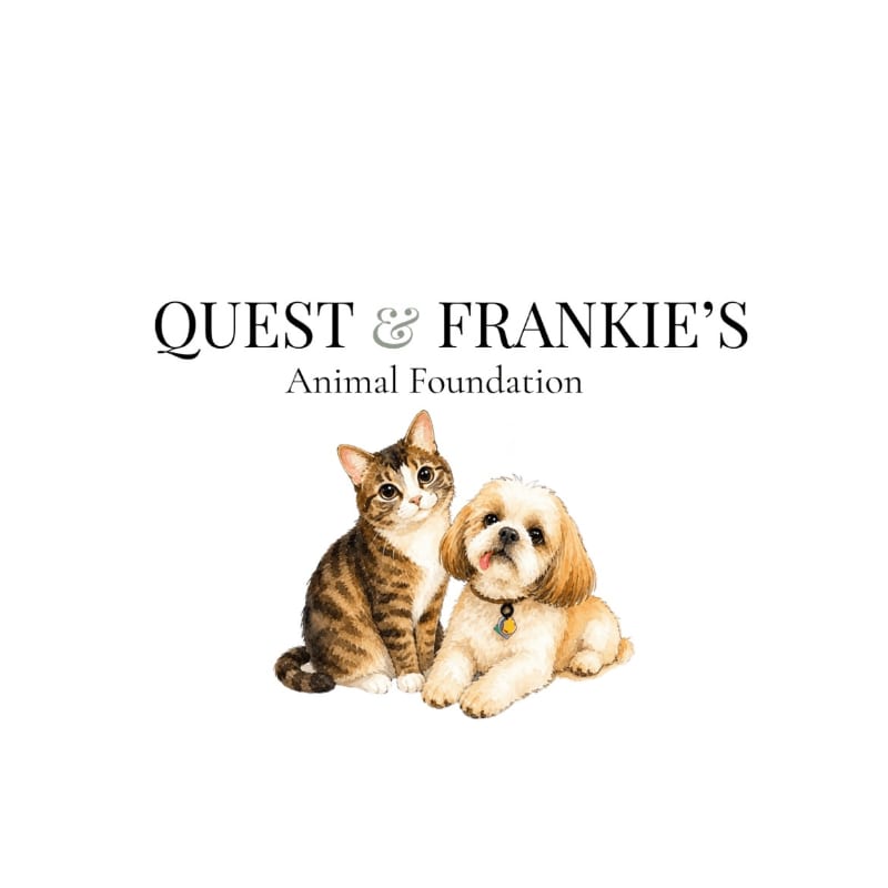 A tabby cat and a shih tzu dog sit together in the foreground, with the text "QUEST & FRANKIE'S Animal Foundation" in the background.