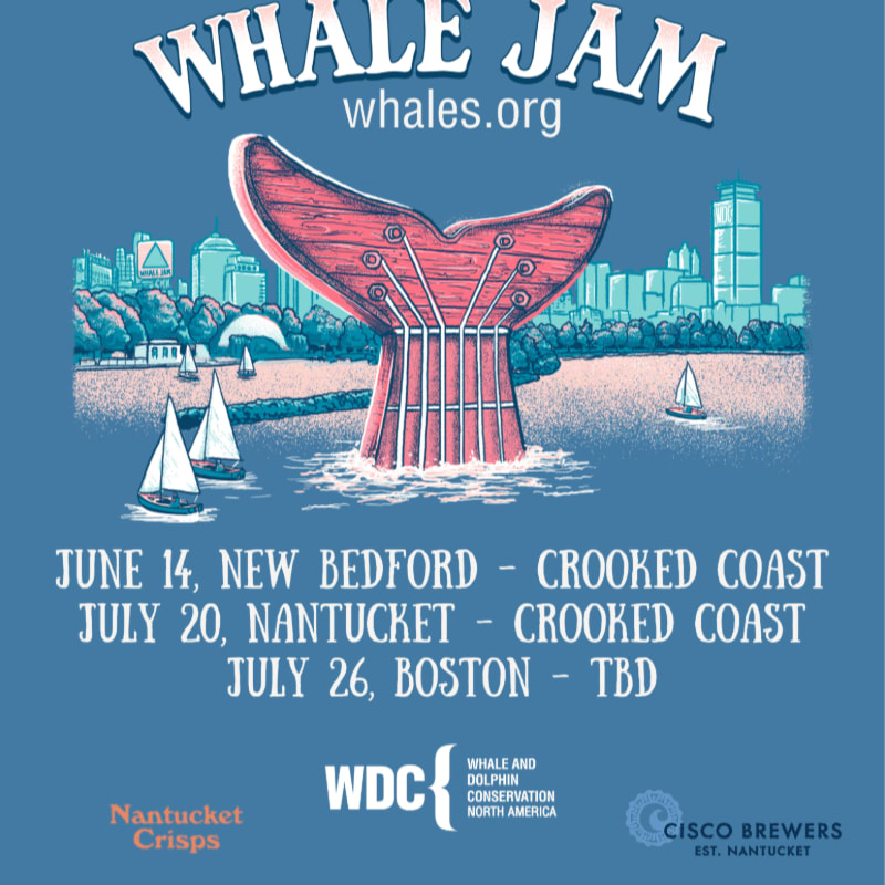 A stylized whale tail rises from the water in the foreground, with sailboats and a city skyline in the background, all under the "WHALE JAM" title.