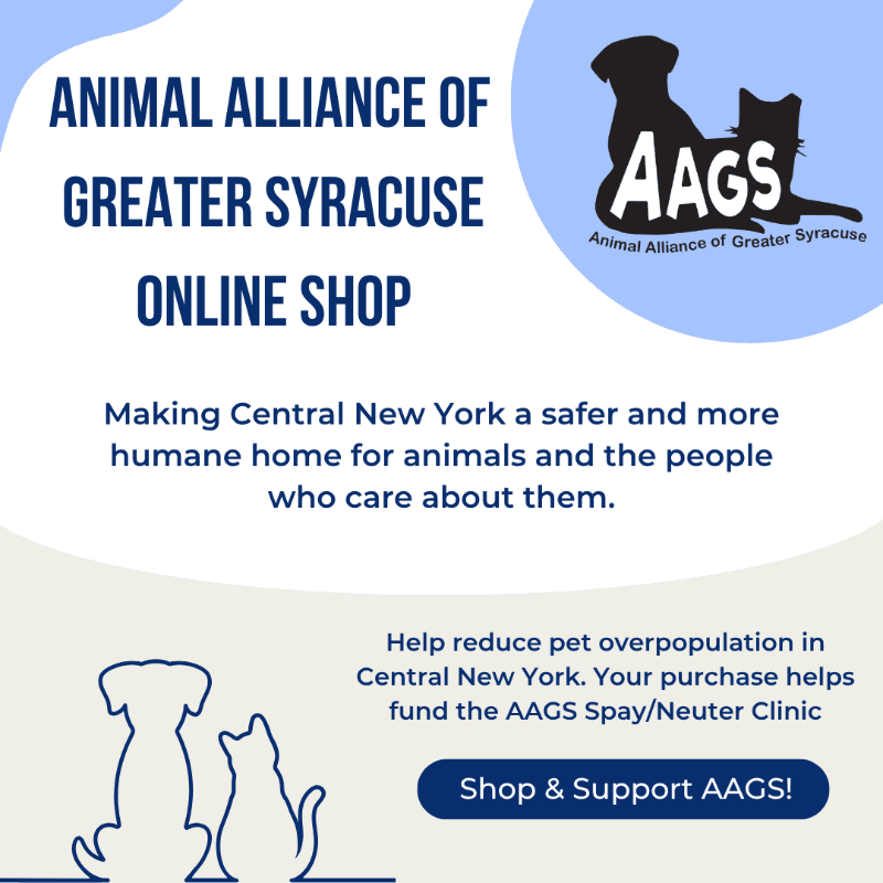 A blue and white graphic advertises the Animal Alliance of Greater Syracuse online shop, featuring silhouettes of a dog and cat in the foreground and a logo with the same animals in the background.