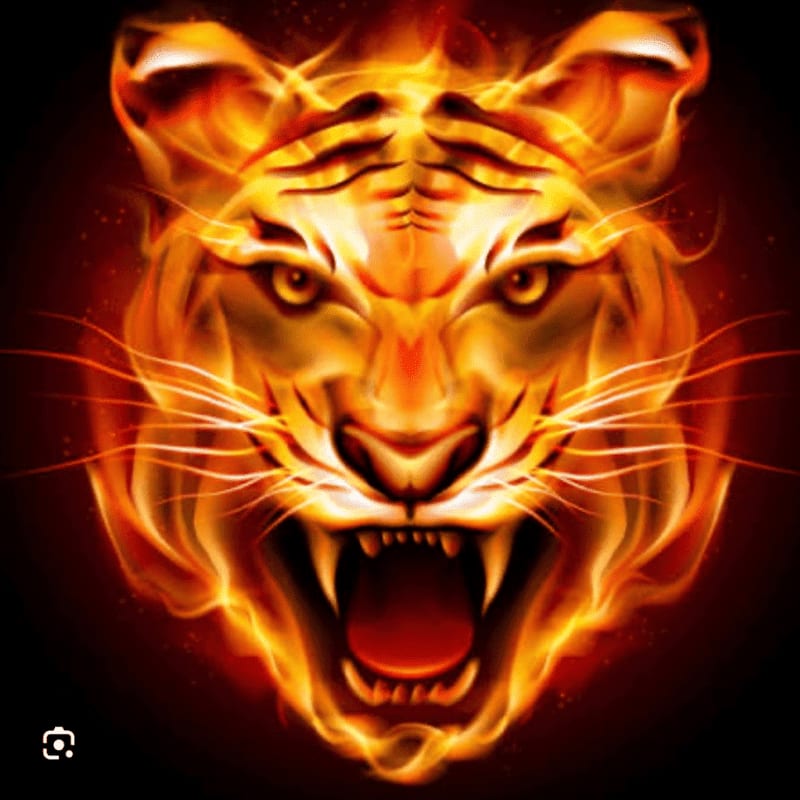 A fierce tiger's face, engulfed in flames, roars against a dark background.