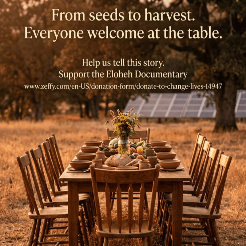 A long wooden table set for a meal in a field of dry grass is in the foreground, with solar panels and trees in the background.