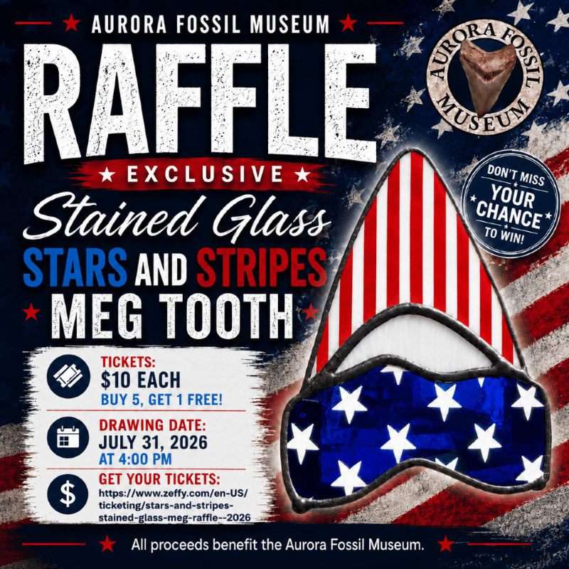 A raffle for a stained glass meg tooth with a Stars and Stripes design is advertised against a dark background with patriotic elements.