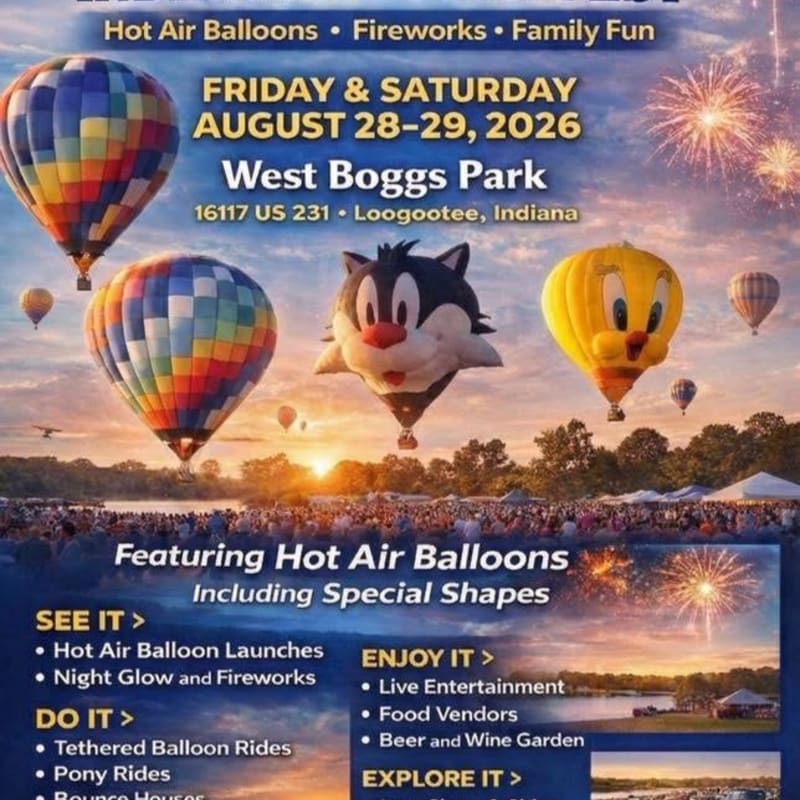 Colorful hot air balloons, including special shapes like Sylvester the Cat and Tweety Bird, float in the sky above a park with fireworks in the background.