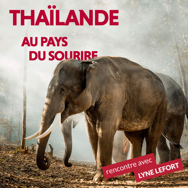 Two elephants stand in a forest clearing with the text "THAÏLANDE AU PAYS DU SOURIRE" above them and "rencontre avec LYNE LEFORT" in the lower right corner.