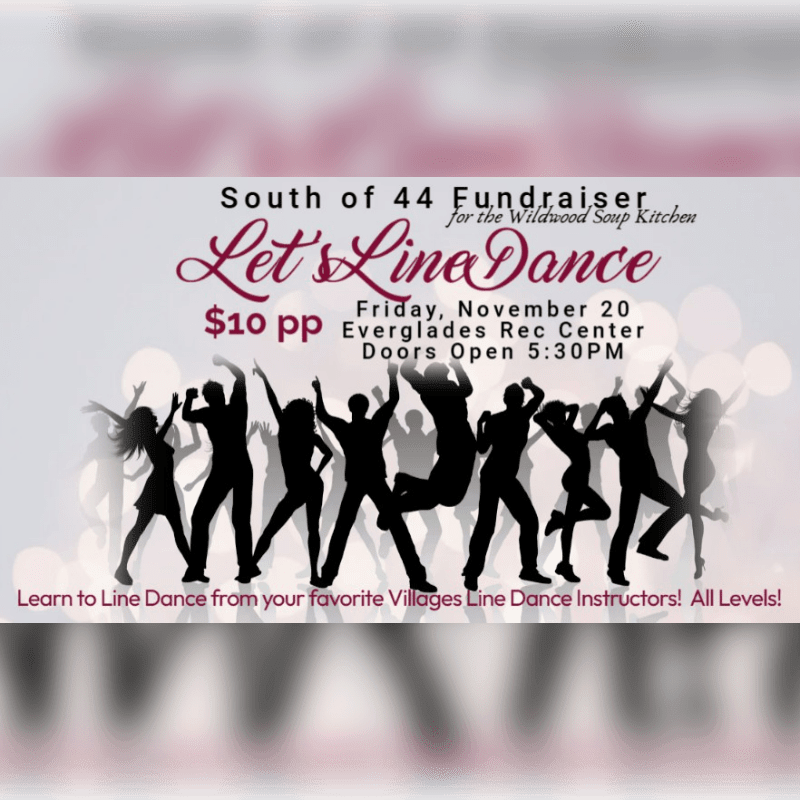 Silhouetted dancers in the foreground are celebrating a "Let's Line Dance" fundraiser for the Wildwood Soup Kitchen, set against a blurred background with event details.