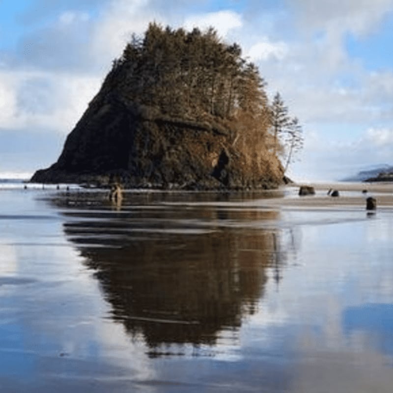 A rocky island topped with trees stands reflected in the wet sand of a beach under a cloudy sky.