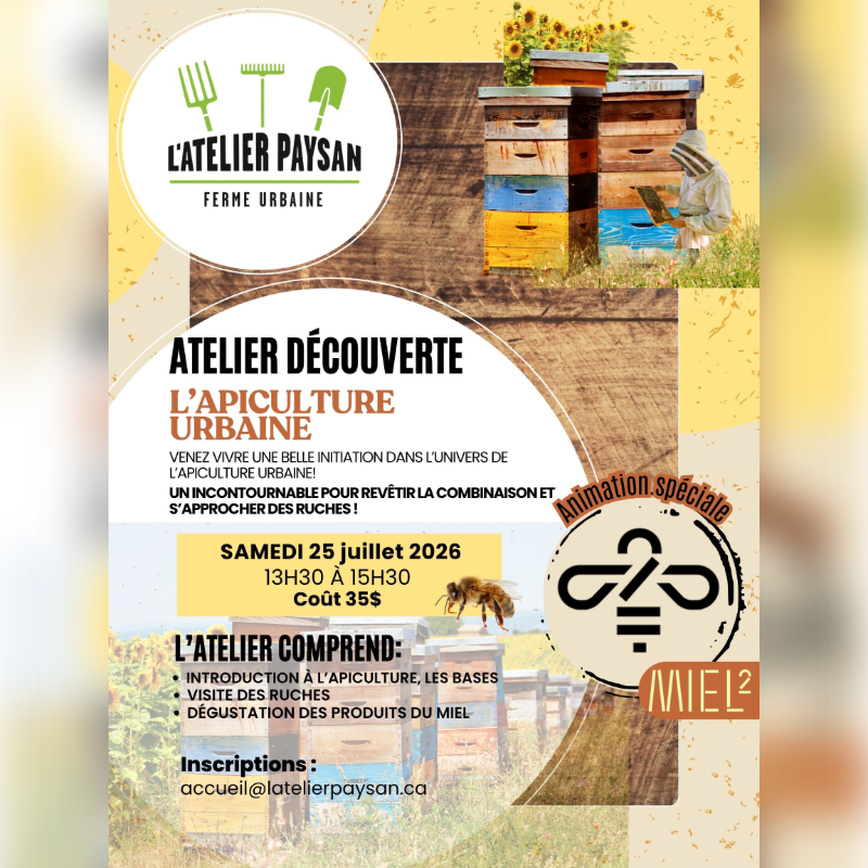A flyer advertises an urban beekeeping workshop with a foreground featuring text and a bee on a honeycomb, and a background showing colorful beehives and a beekeeper.