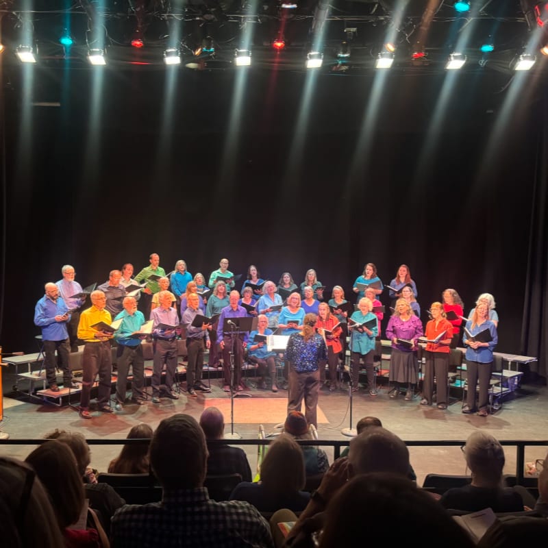 A choir performs on a stage with a black backdrop and stage lights, while an audience watches from the foreground.