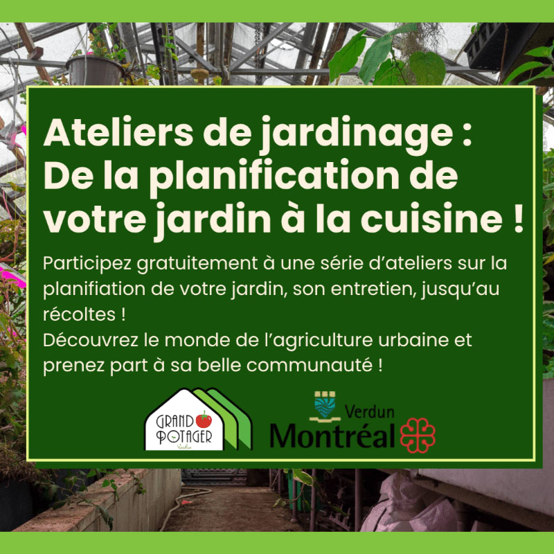 A green greenhouse filled with plants serves as the background for a graphic advertising free gardening workshops, with text in French and logos for "Grand Potager" and "Verdun Montréal" in the foreground.
