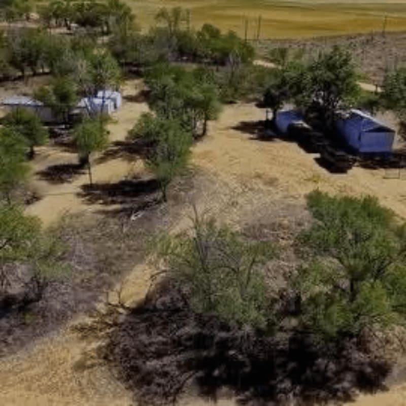 A dry, grassy foreground with scattered trees leads to a background of sparse vegetation and a few small, blue-roofed buildings.