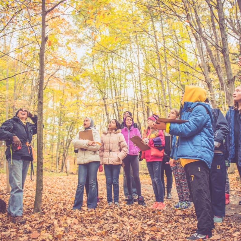 A group of children and an adult stand in a forest clearing with fallen leaves, looking up at the colorful autumn trees.