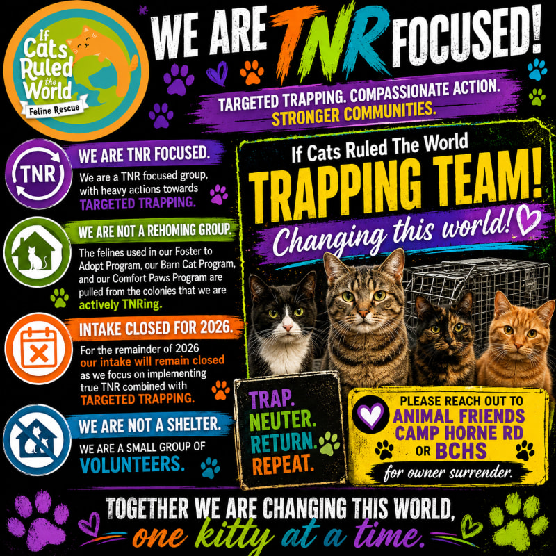 Four cats are featured in the foreground of a colorful poster with text about TNR (Trap-Neuter-Return) feline rescue efforts.